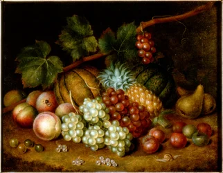 Study of Fruit